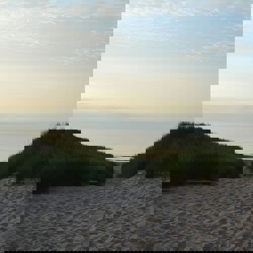 Nedgang Til Strand Skagen