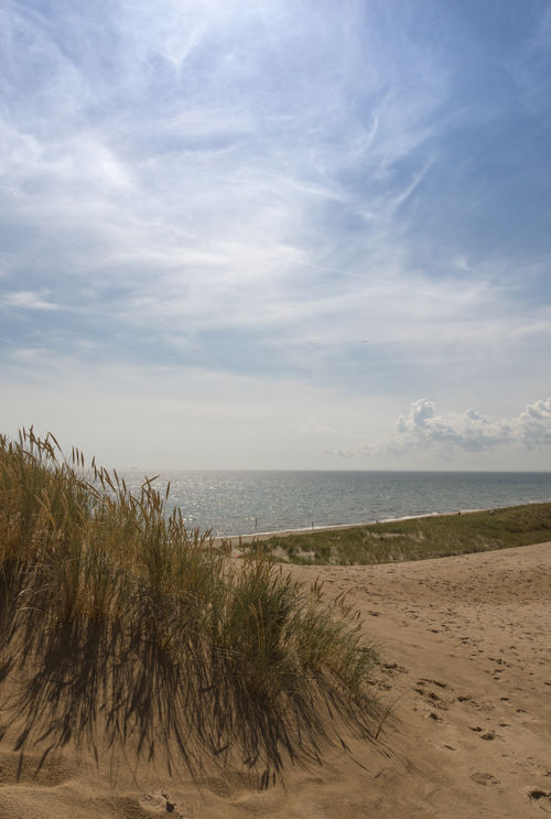 Sommer Strand Klitter
