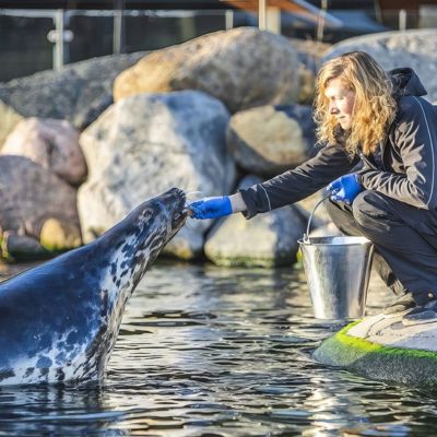 Kristina Og Graasael