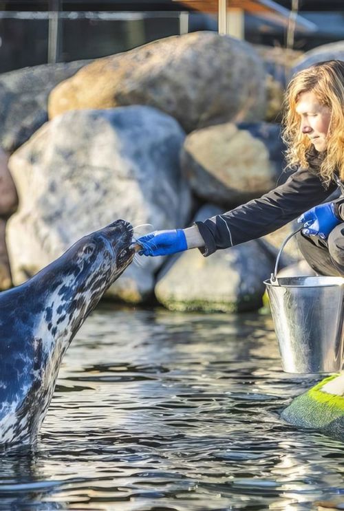 Kristina Og Graasael