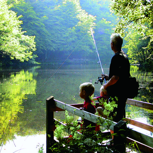 Vandvaerkskoven Ved Brug Krediteres Turisthus Nord 1