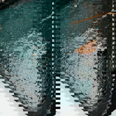 Vejers Strand Camping Hvidbjerg Strand Camping Wellness