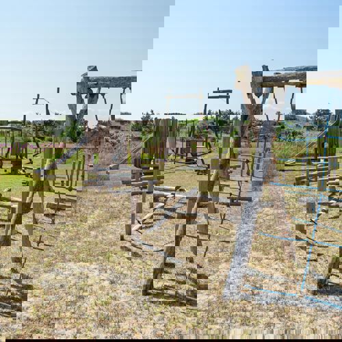 Skagen Sydstrand Camping Skagen Pladsen Legeplads Klatrestativ