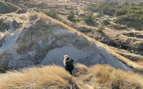 Lene Og Klitter Optimeret