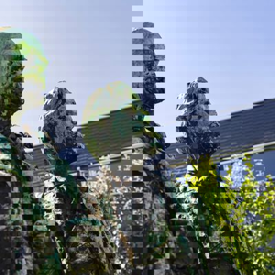 Skagen Sydstrand Camping Skagen Skagensmuseum Udendoers Statue