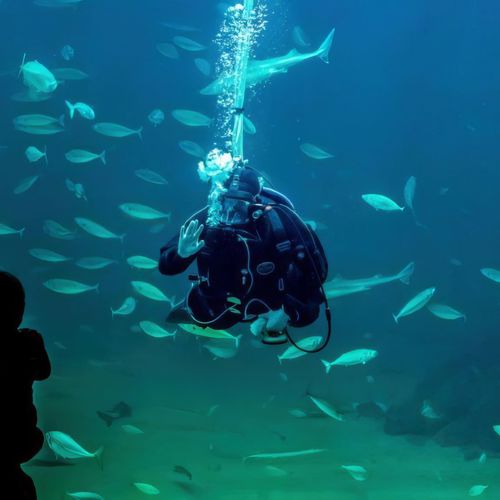 Dykker Og Familie 002