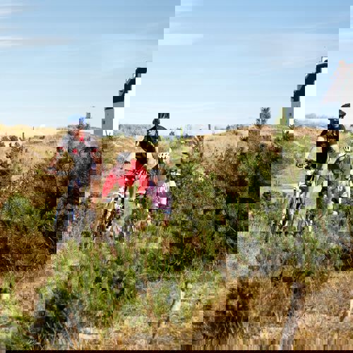 Skagen Sydstrand Camping Skagen Tilsandede Kirke