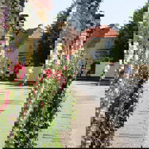 Stokroser Algade 2019