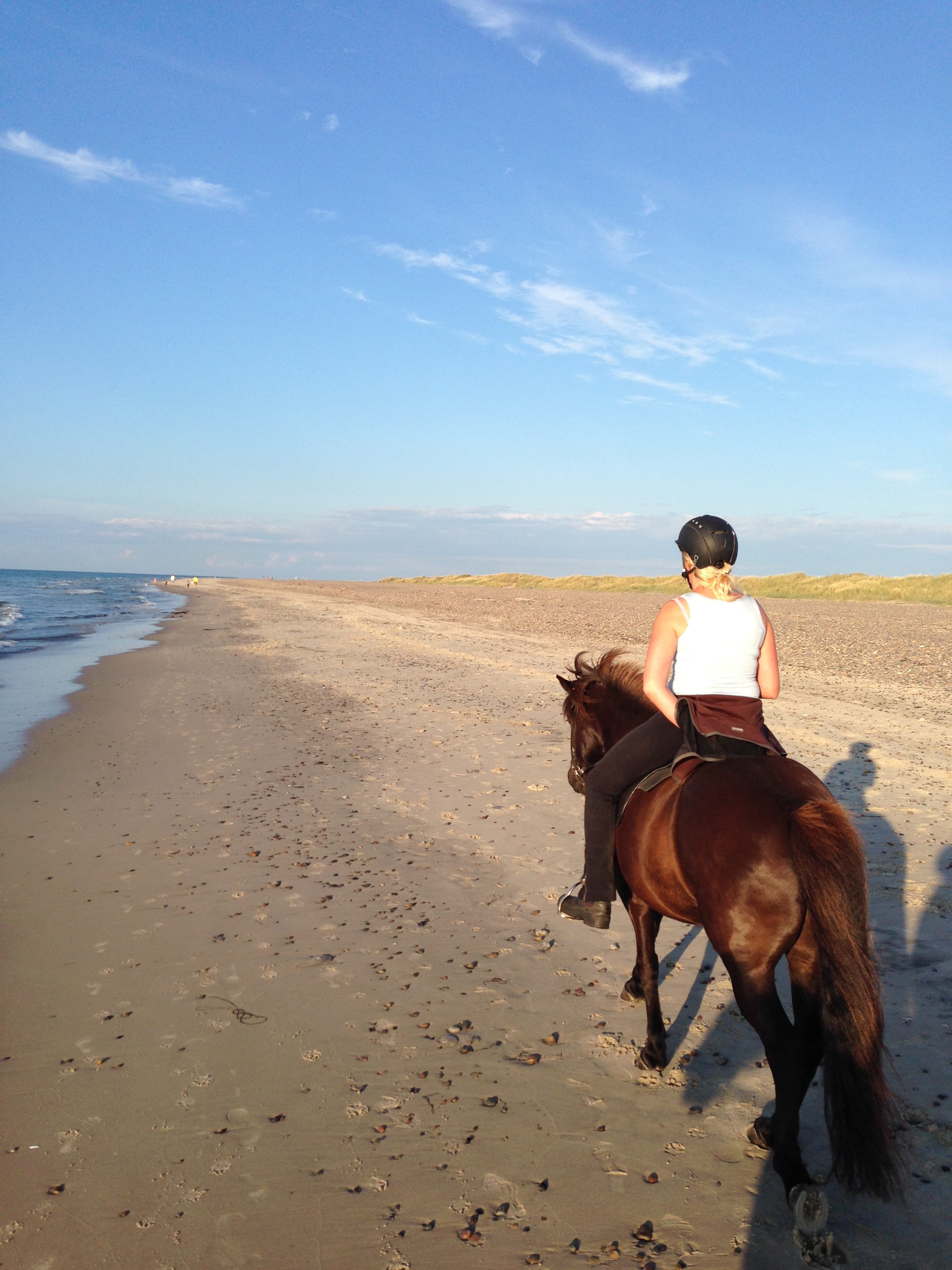 Strand Hest Rridning